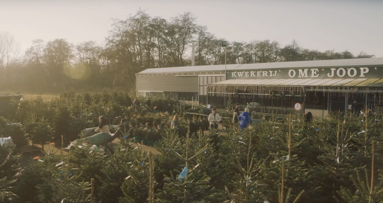 Hilversum - kwekerij ome joop