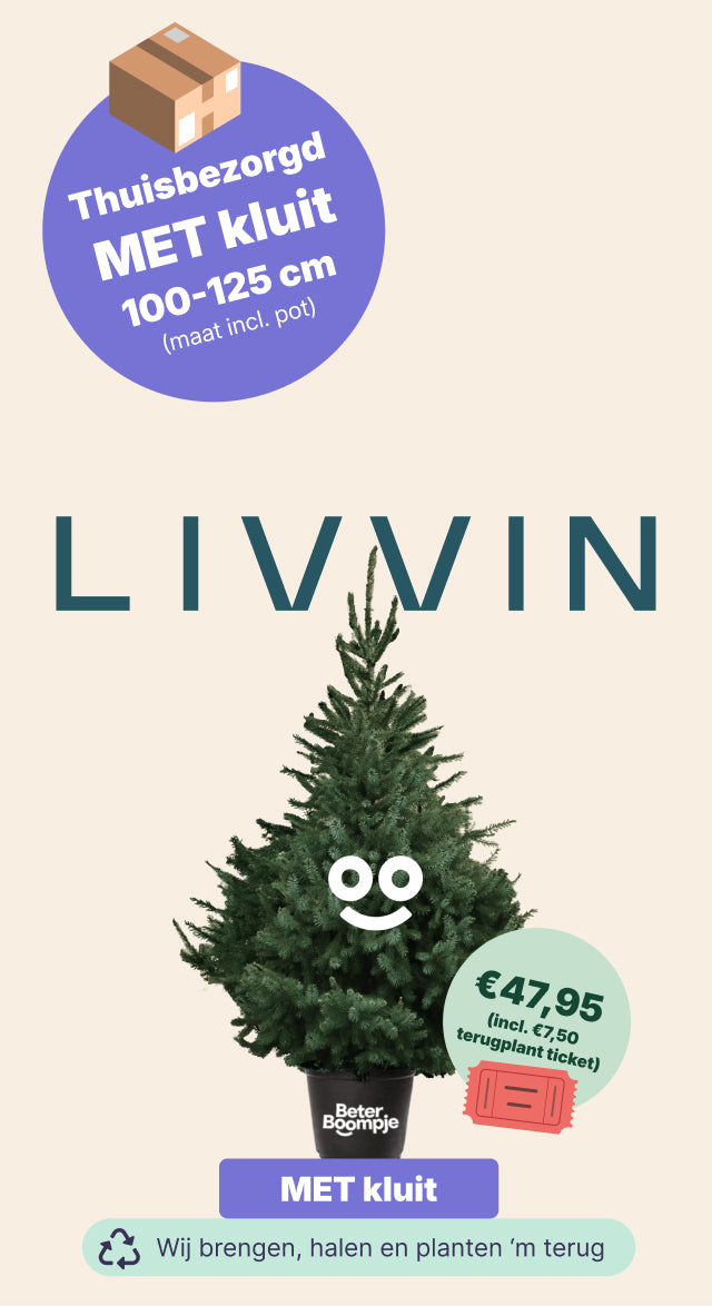 Livvin Livvin - BB met kluit