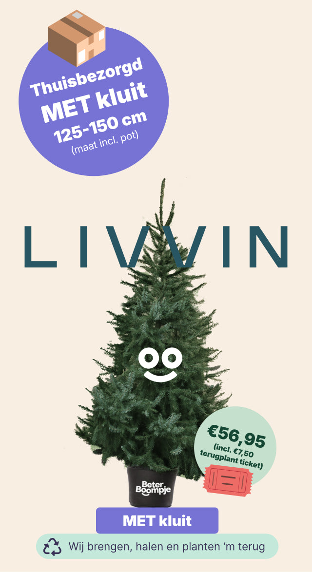 Livvin Livvin - BB met kluit
