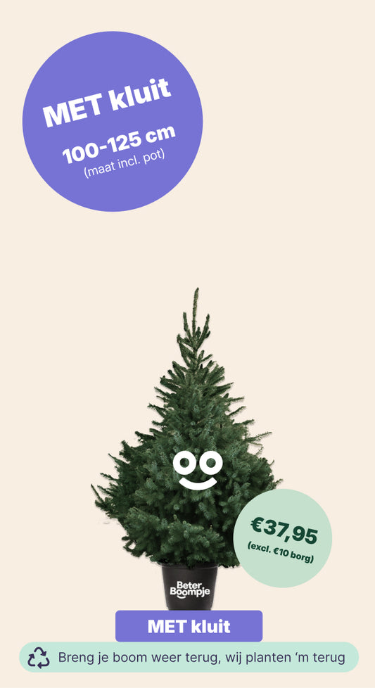 Amsterdam Loads - BB met kluit (incl. €10 borg)