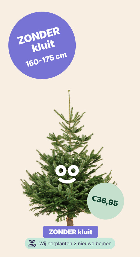 Amsterdam Loads - BB zonder kluit