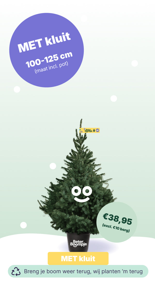 Eindhoven Wasven - BB met kluit (incl. €10 borg)