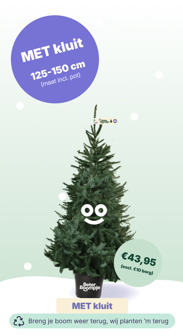 Eindhoven Wasven - BB met kluit (incl. €10 borg)