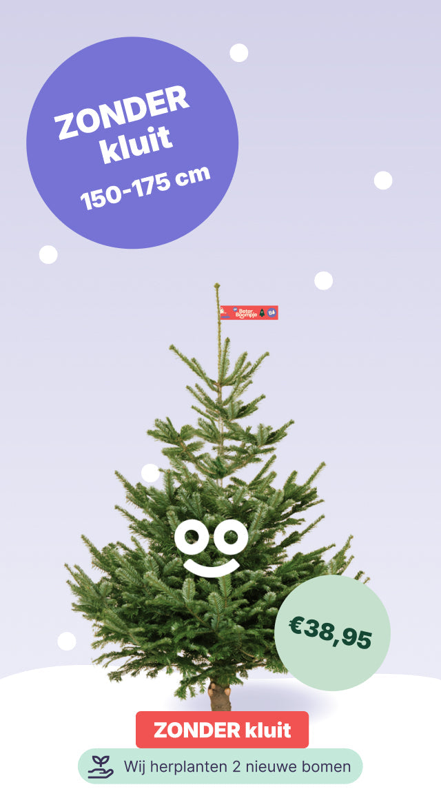 Breda Frontaal - BB zonder kluit