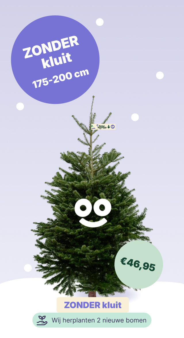 Amsterdam Vondeltuin - BB zonder kluit