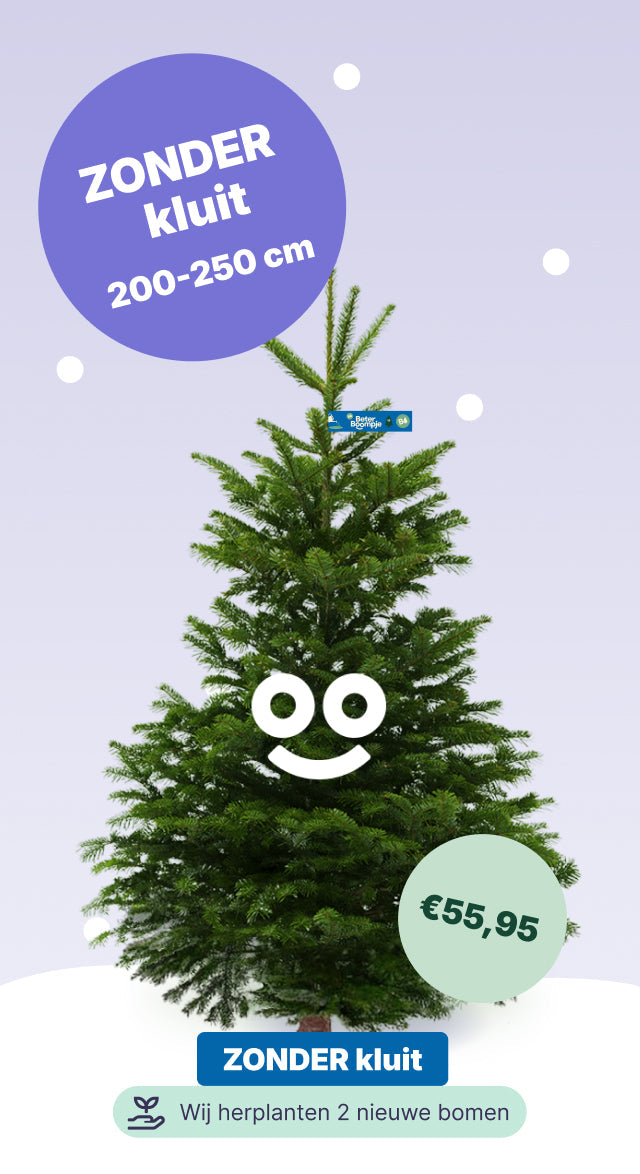 Gouda Stadskant - BB zonder kluit