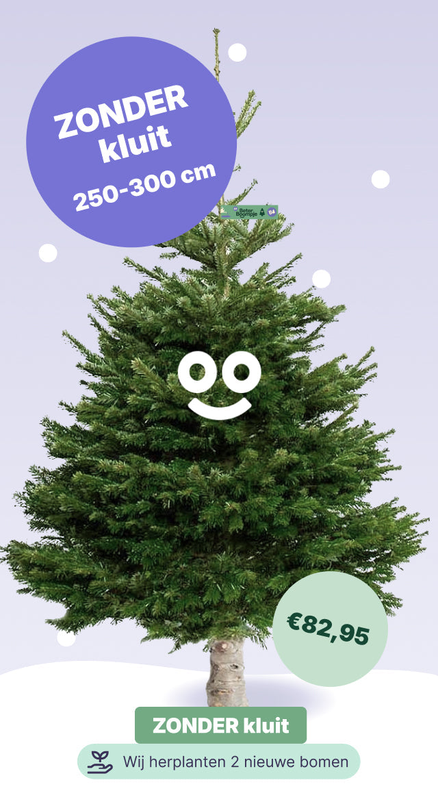 Amsterdam Loads - BB zonder kluit