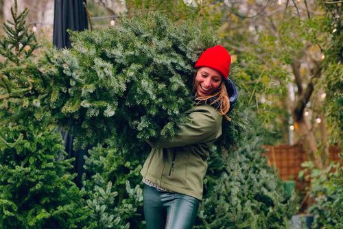 BeterBoompje kerstboom ophalen in Vondeltuin
