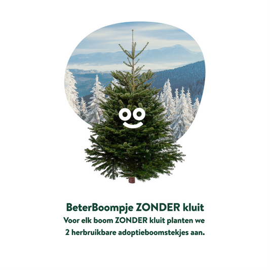 kerstboom zonder kluit