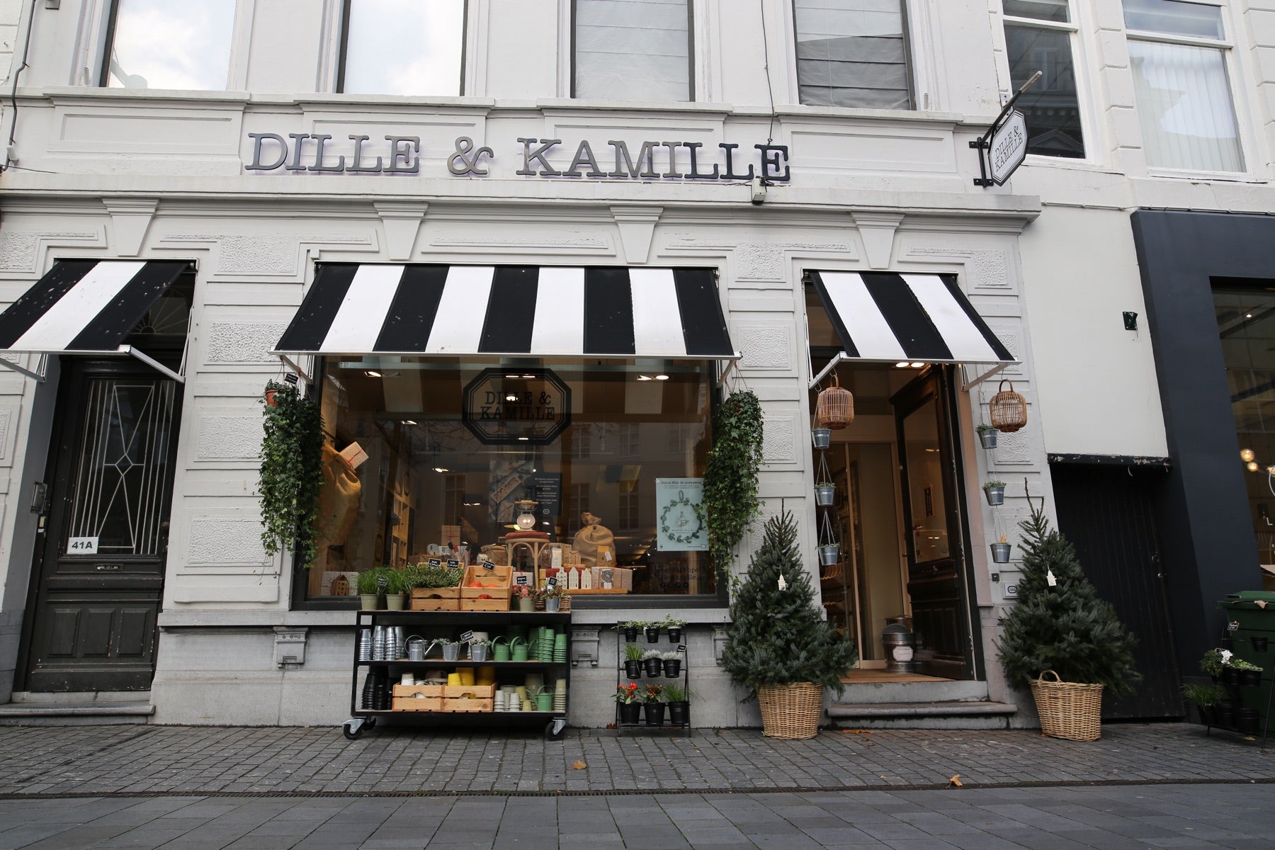 Twee BeterBoompjes voor een Dille & Kamille-winkel in 2022