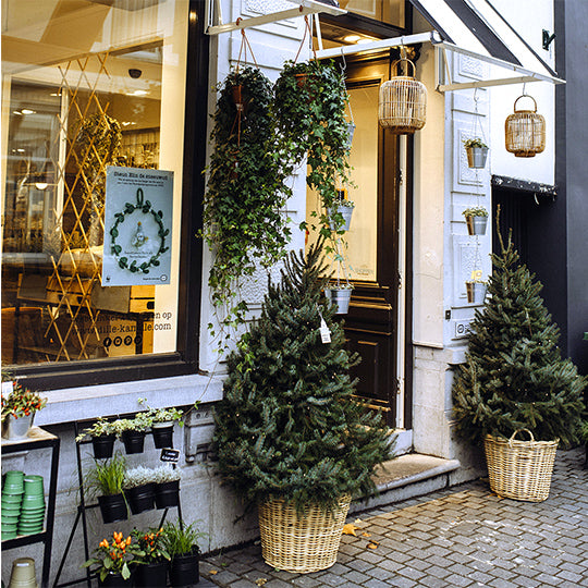 BeterBoompjes voor een Dille & Kamille-winkel